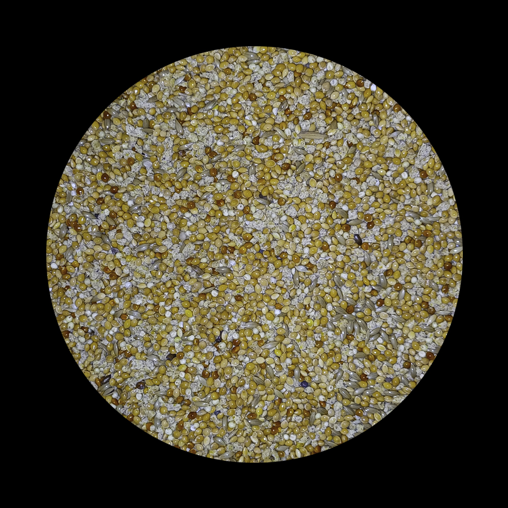 enhanced canary grower-2